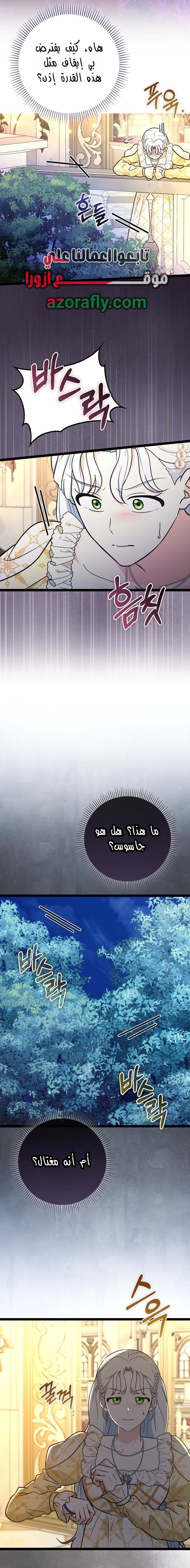 الصفحة 19
