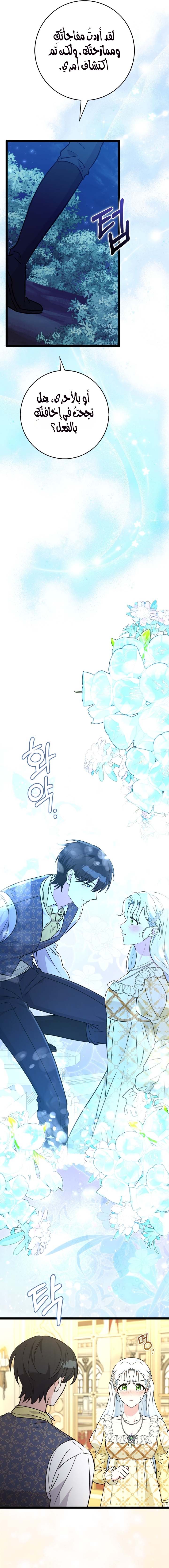 الصفحة 21