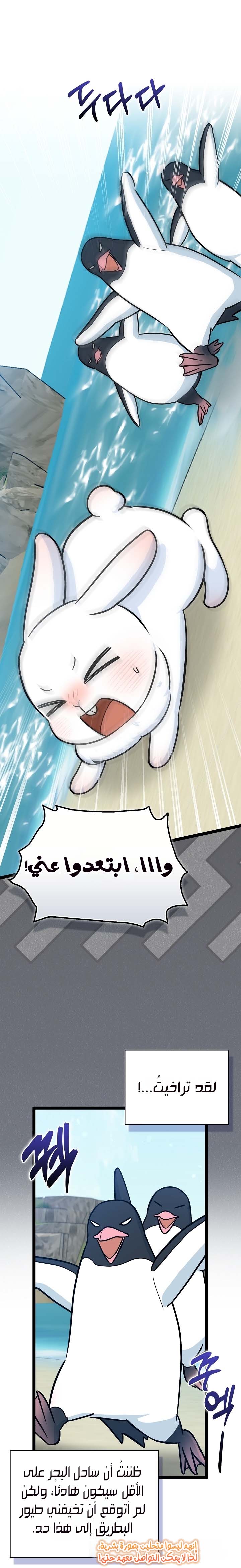الصفحة 2