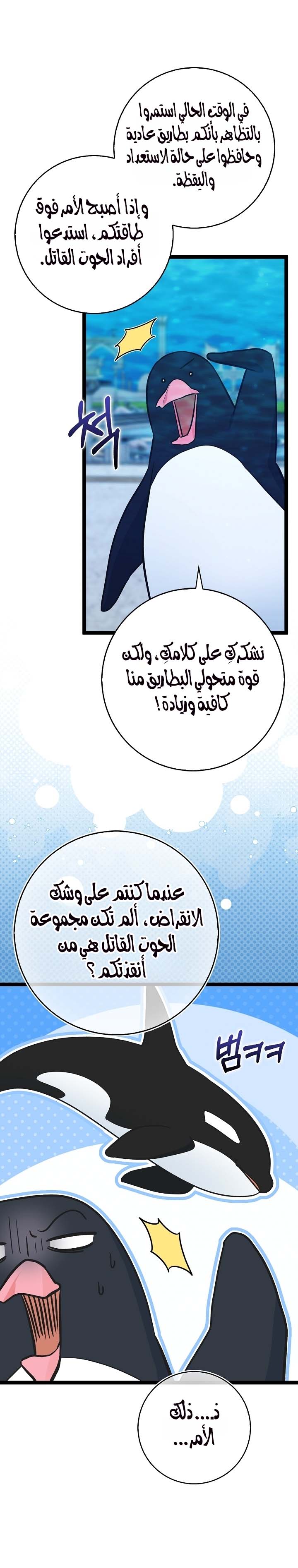 الصفحة 20