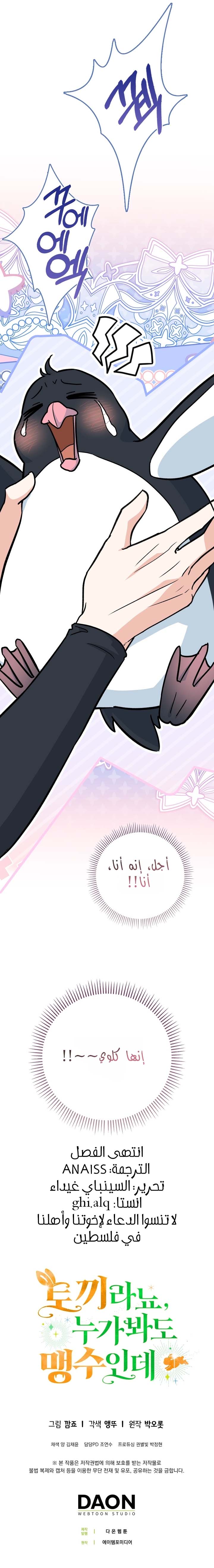 الصفحة 17