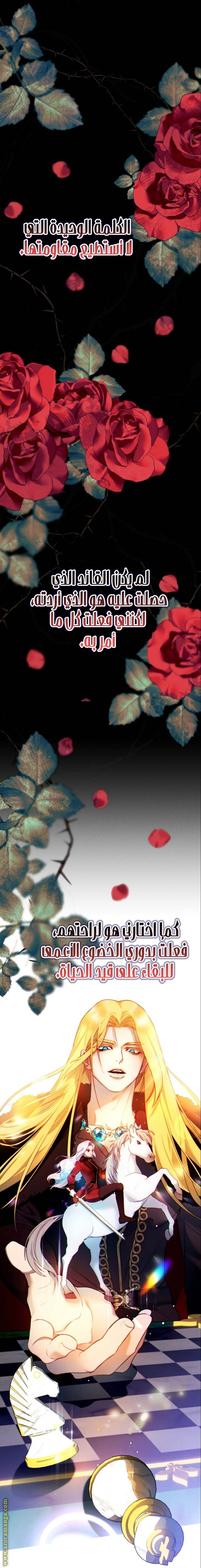 الصفحة 23
