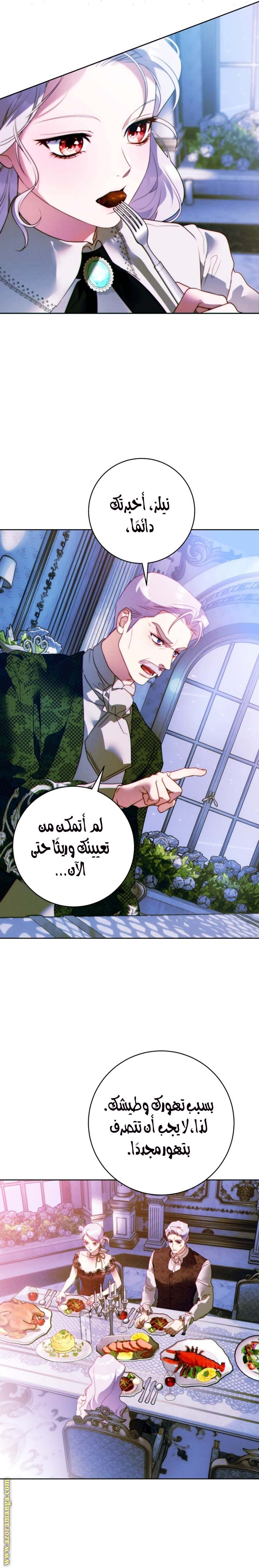 الصفحة 17