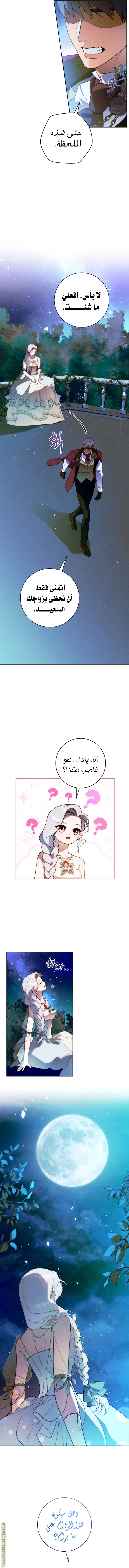 الصفحة 2