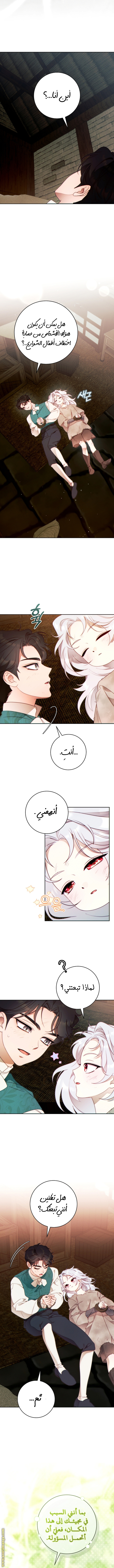 الصفحة 8