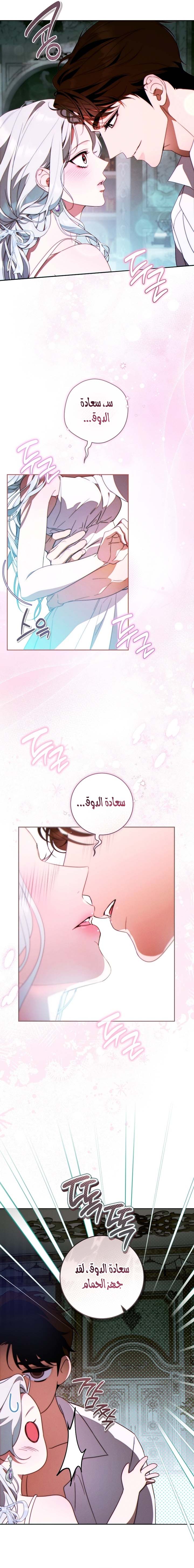 الصفحة 17
