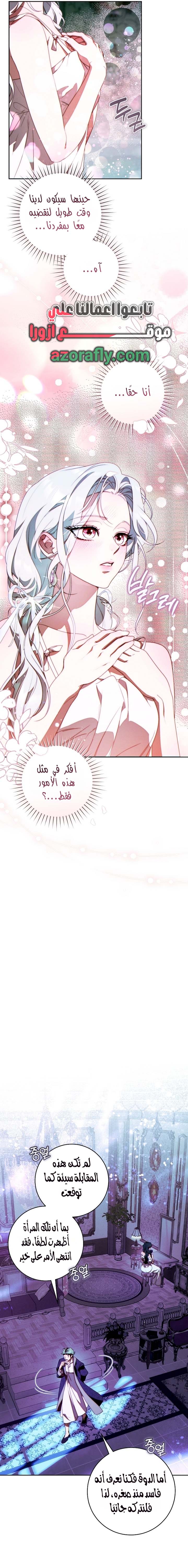 الصفحة 19