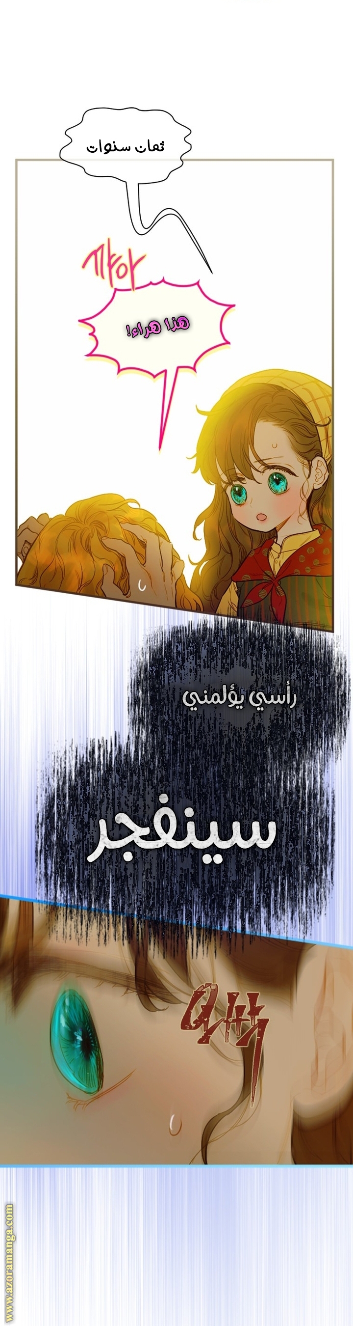 الصفحة 17