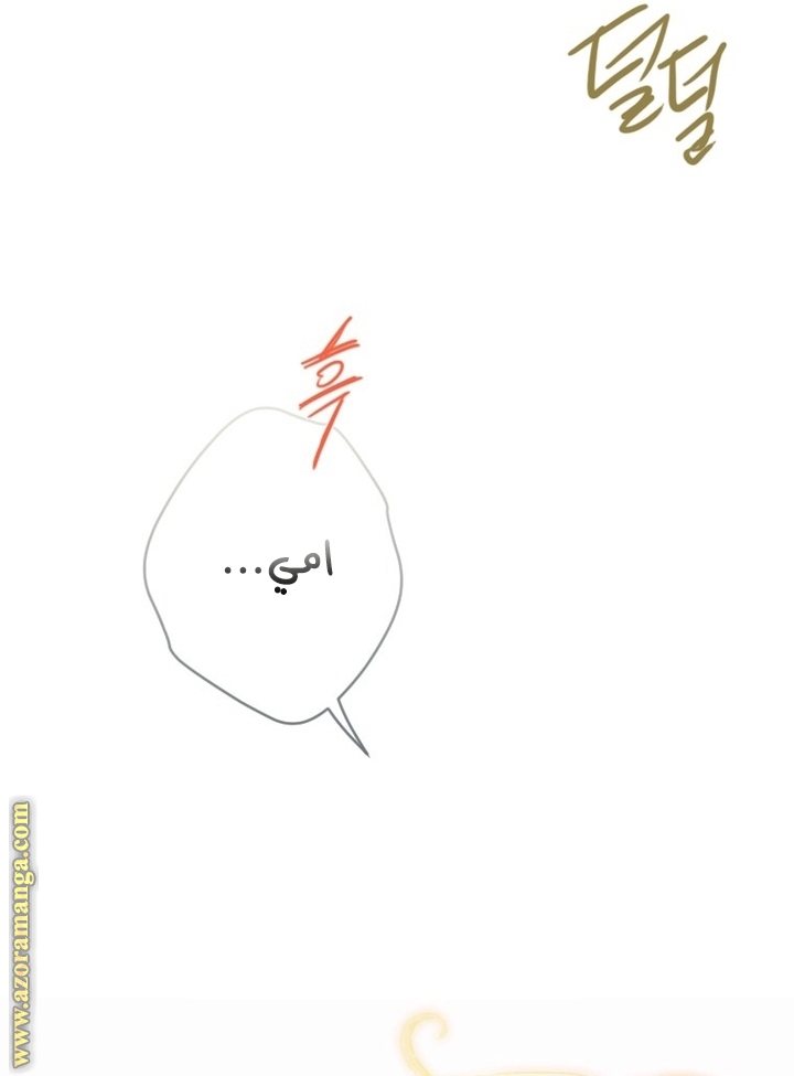 الصفحة 29