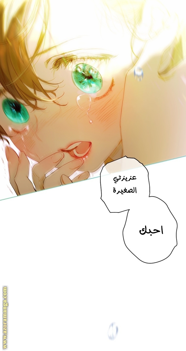 الصفحة 43