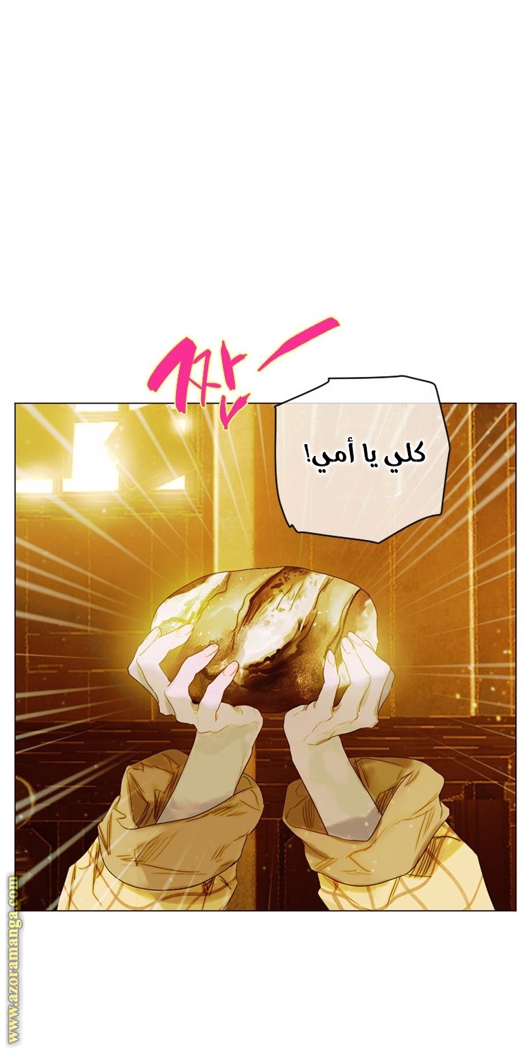 الصفحة 29
