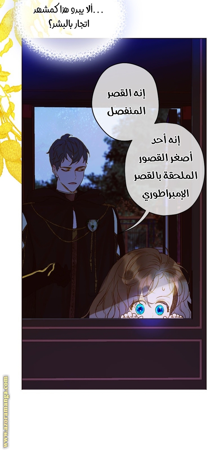 الصفحة 31