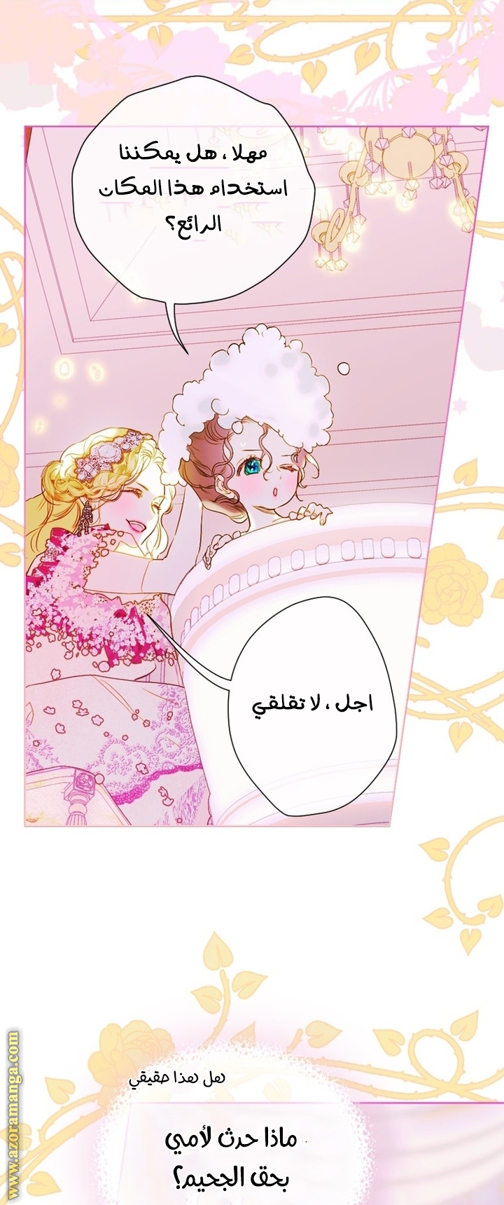 الصفحة 43