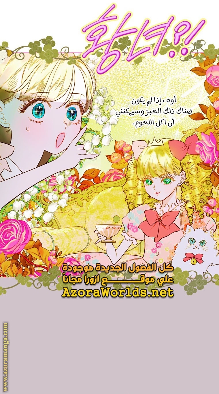 الصفحة 20