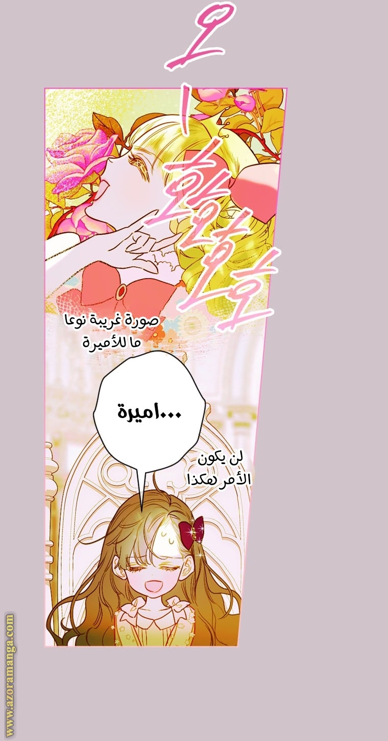 الصفحة 21