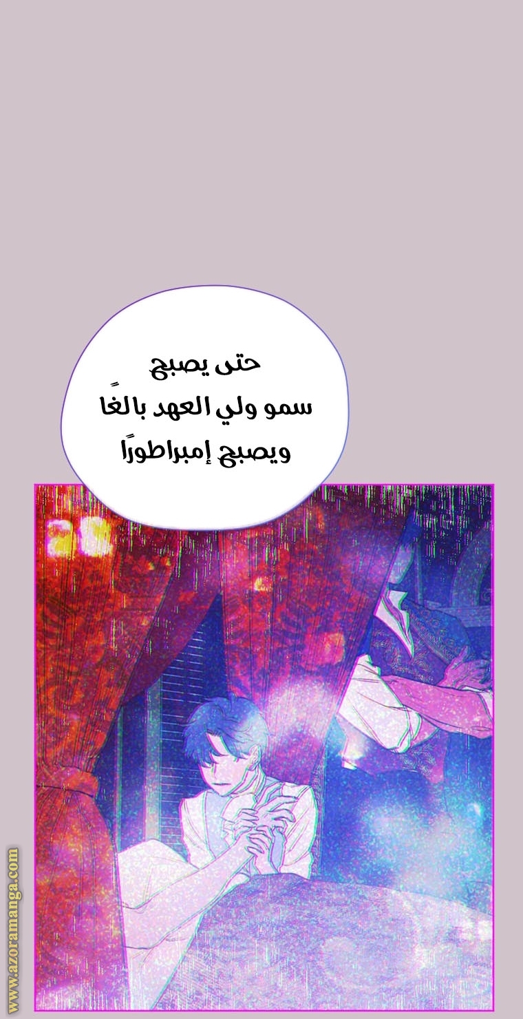 الصفحة 24