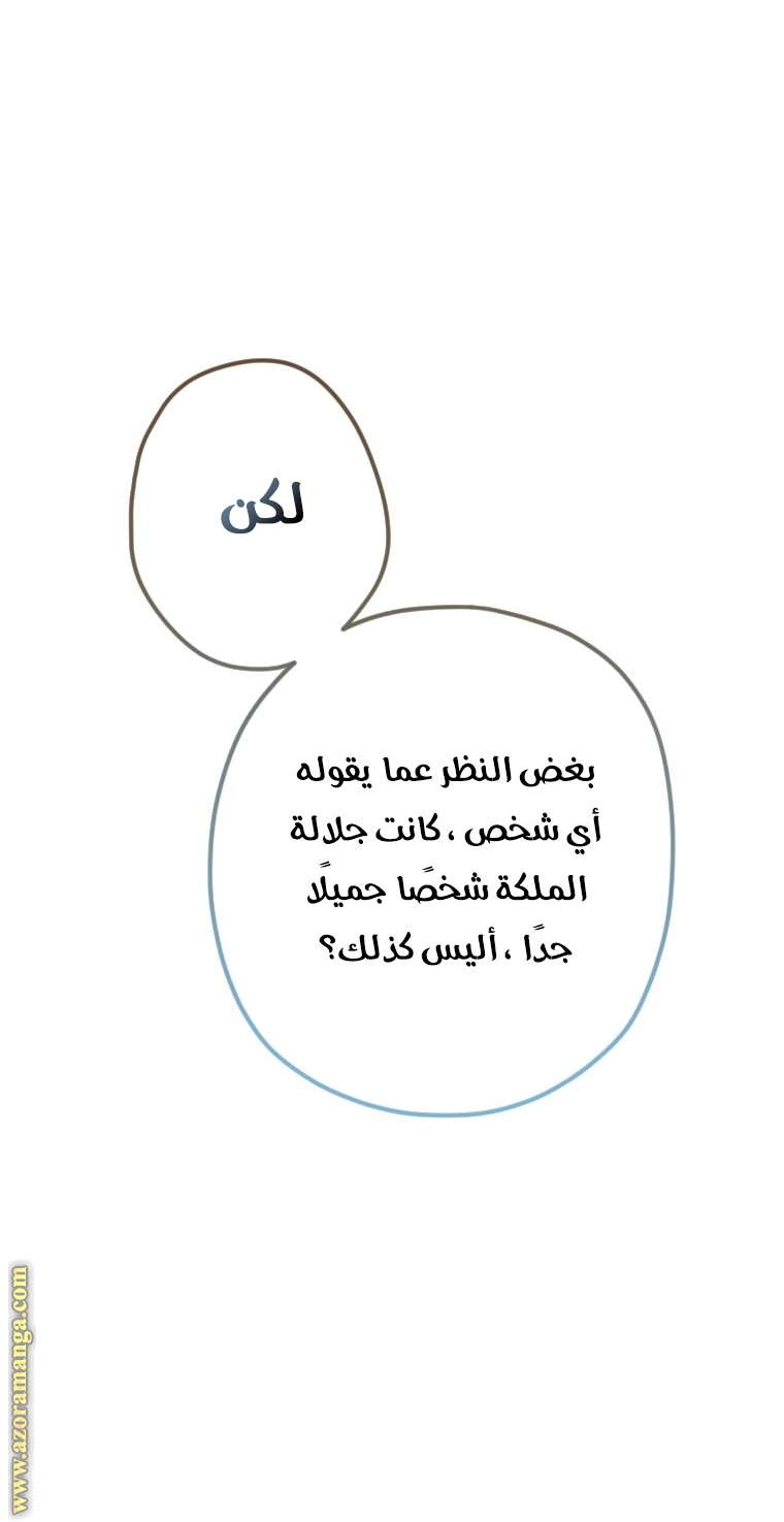 الصفحة 25