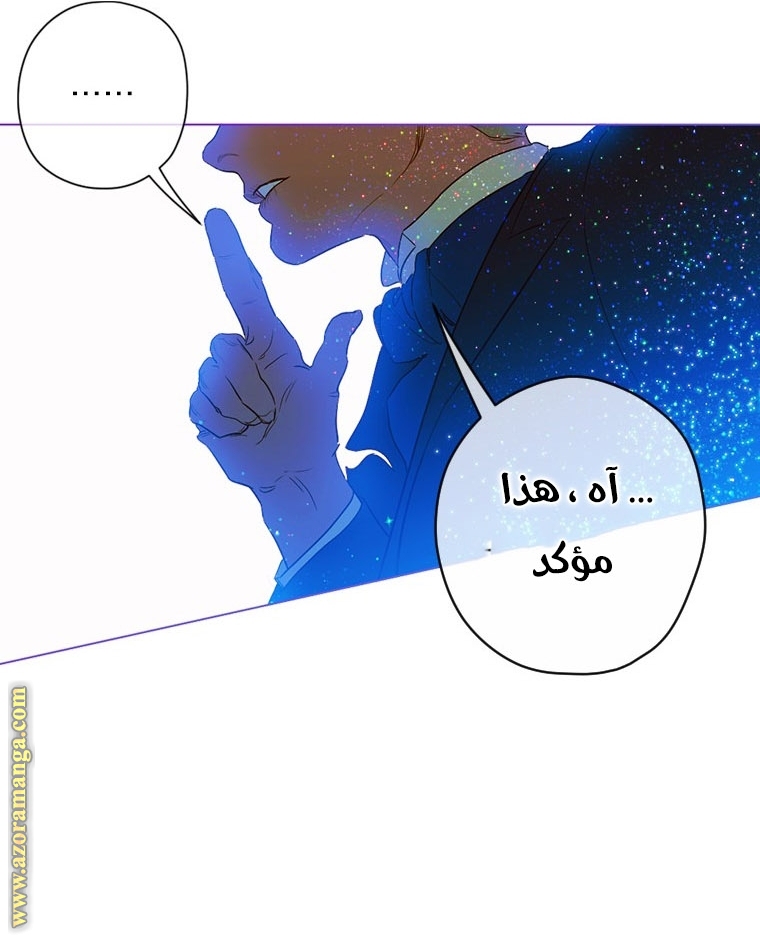 الصفحة 26