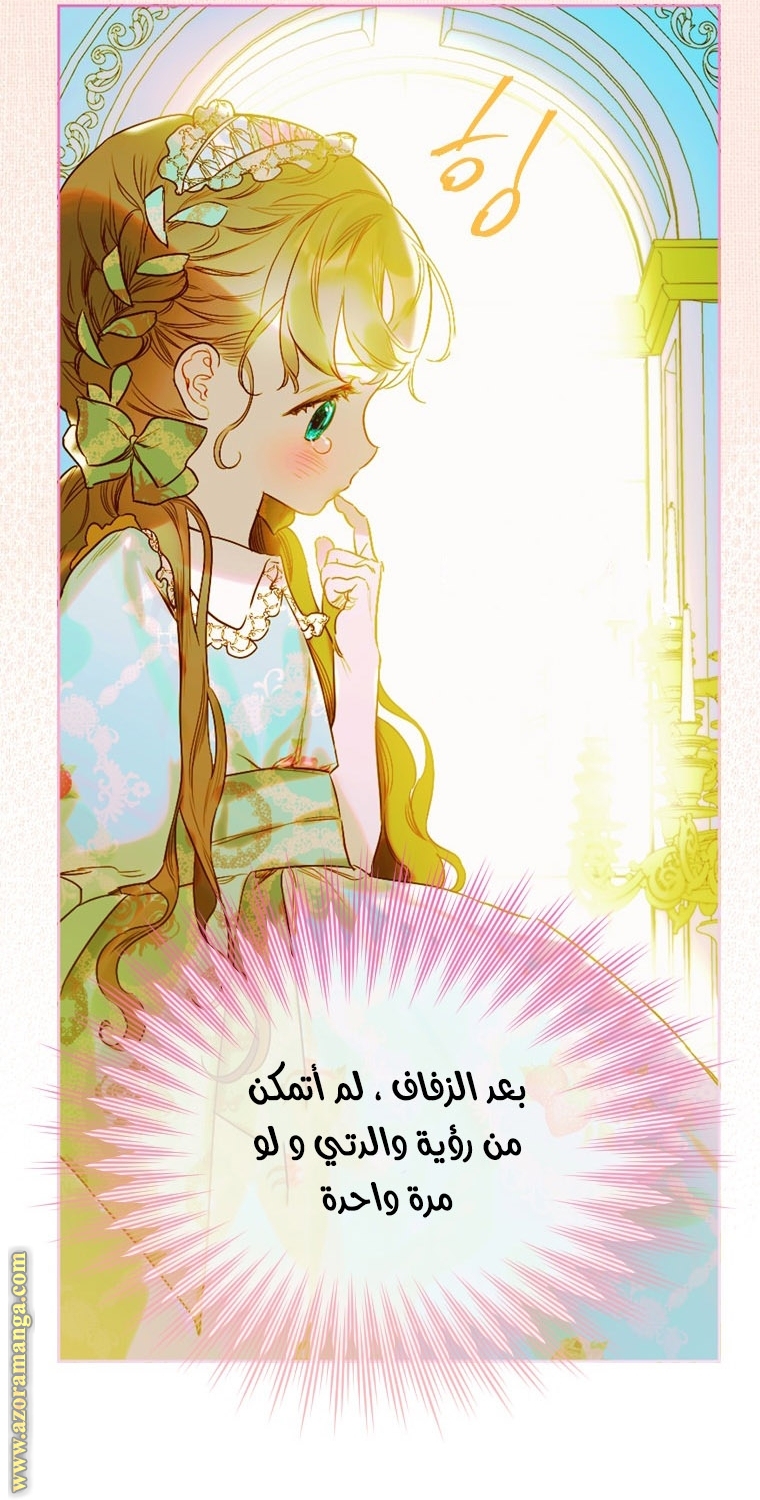 الصفحة 49