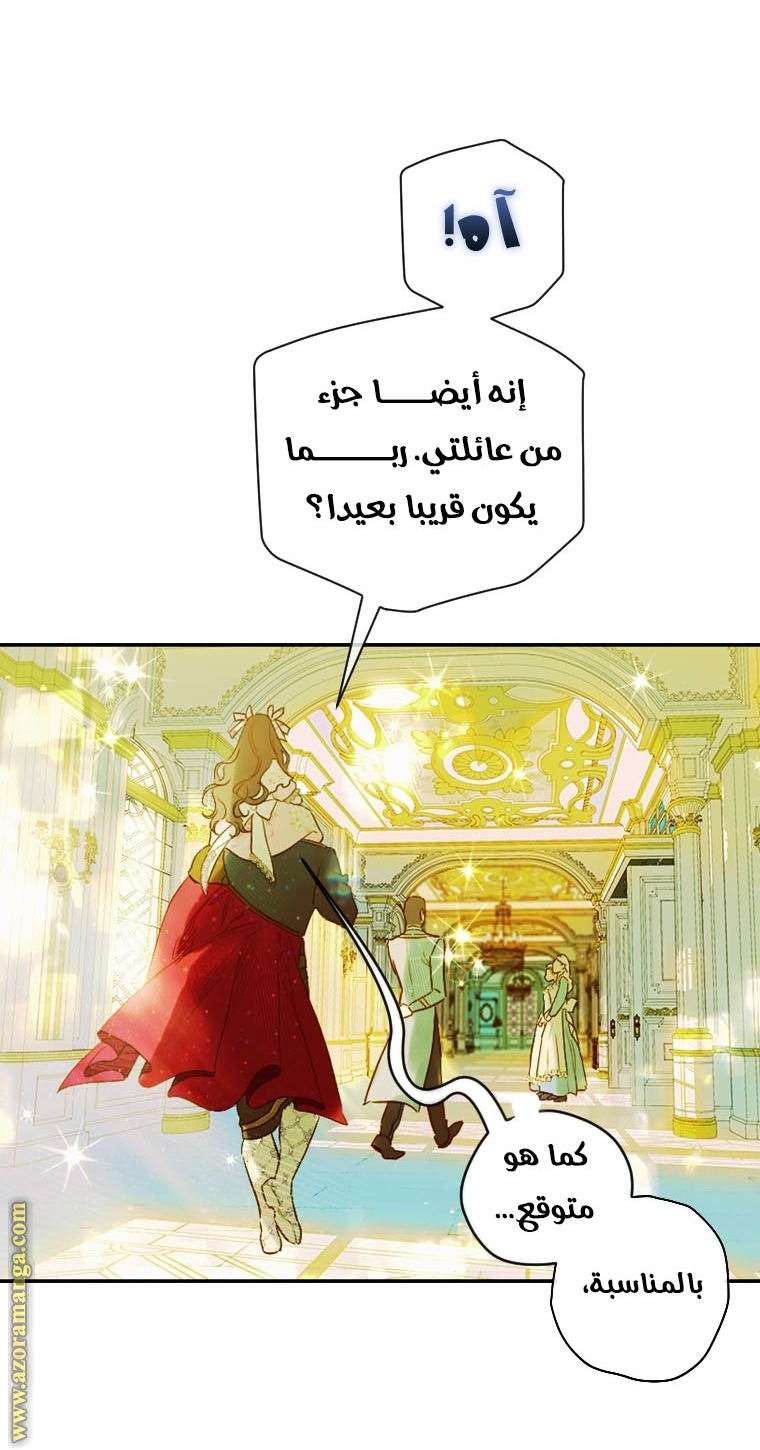 الصفحة 17