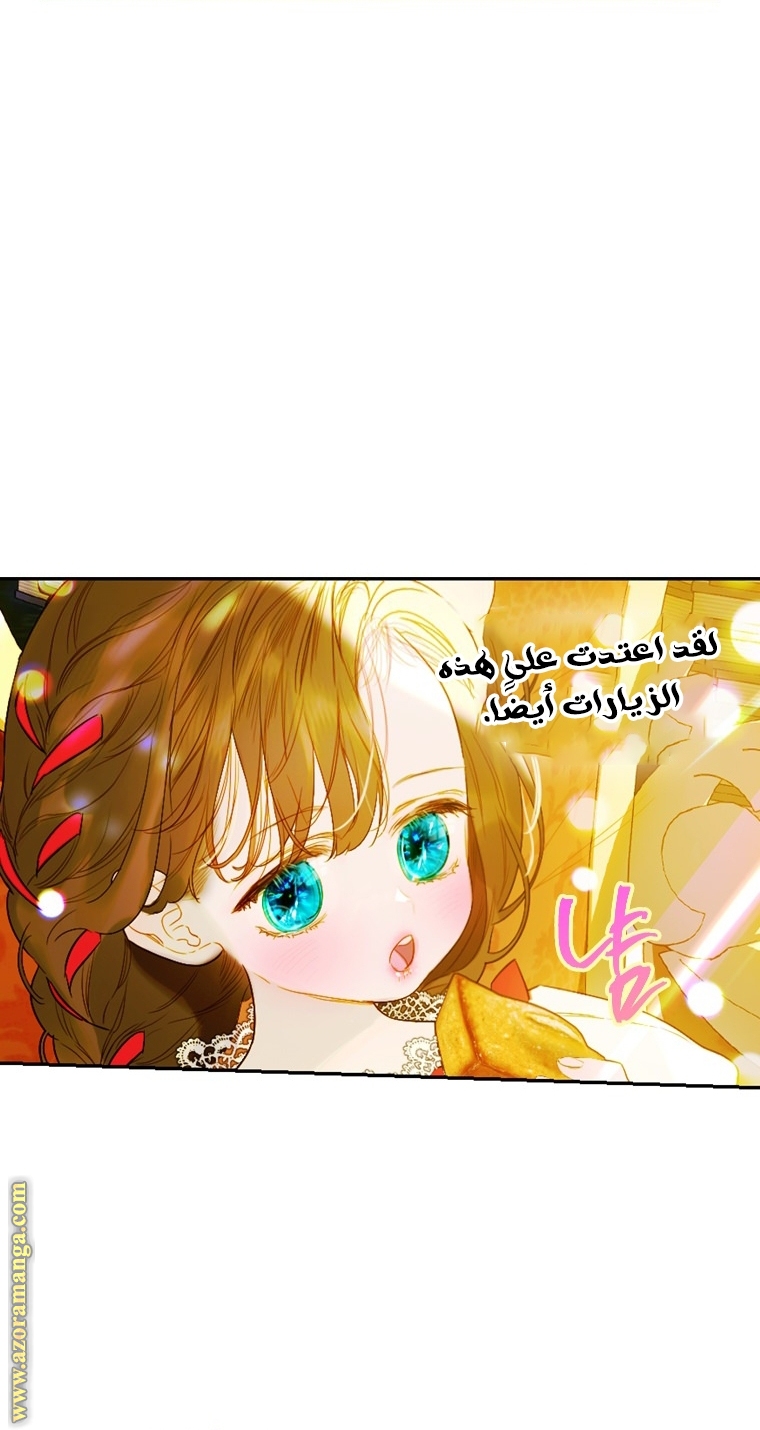 الصفحة 46