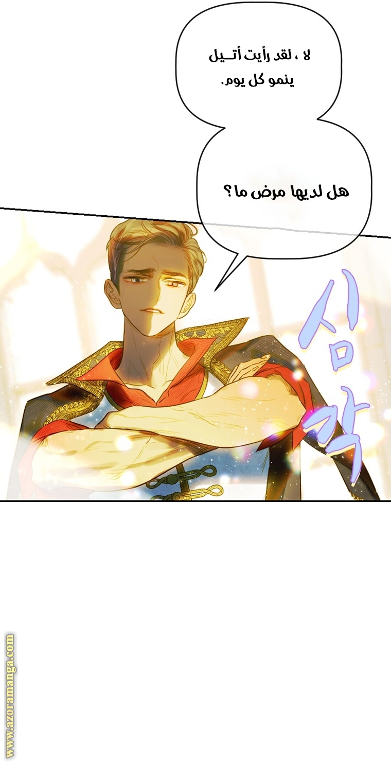 الصفحة 52