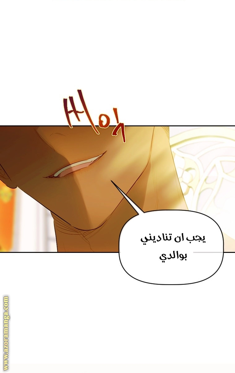 الصفحة 24