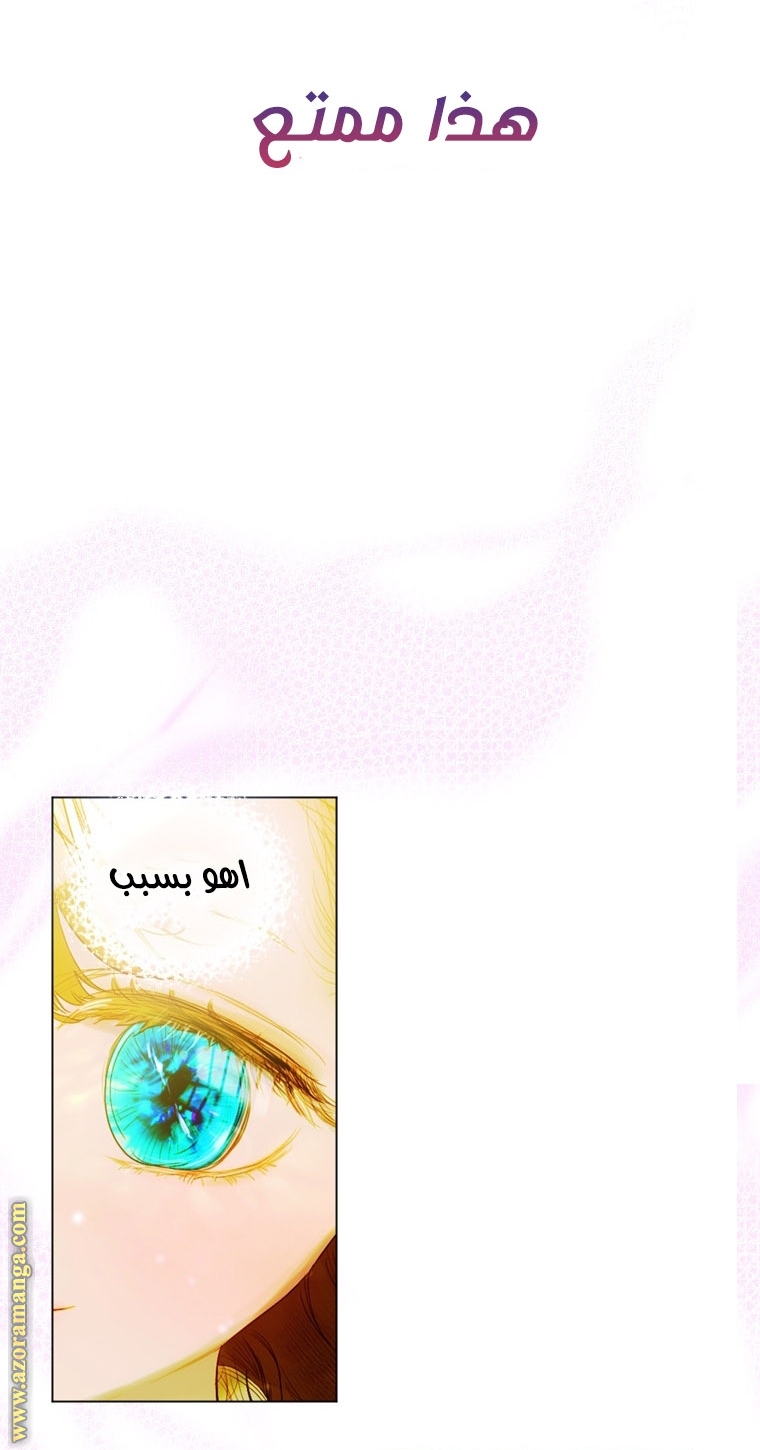 الصفحة 29