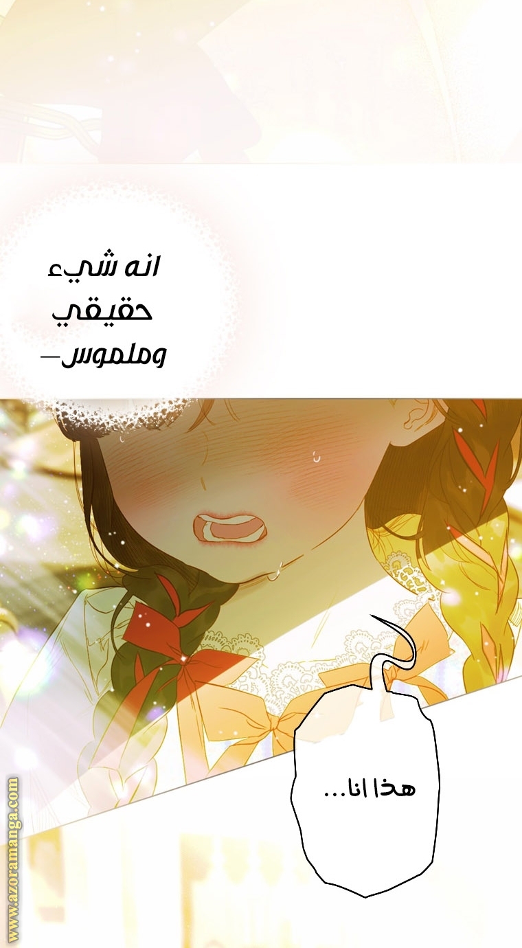 الصفحة 50