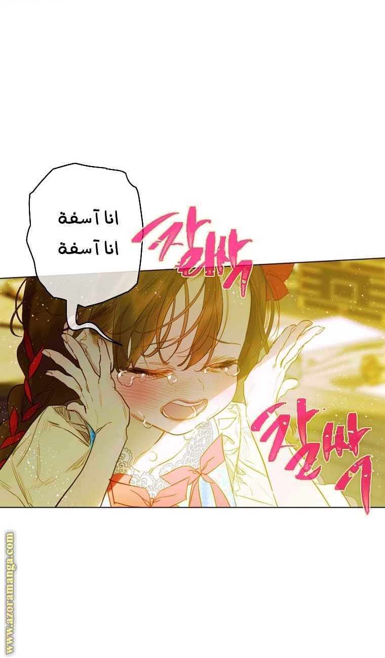 الصفحة 52