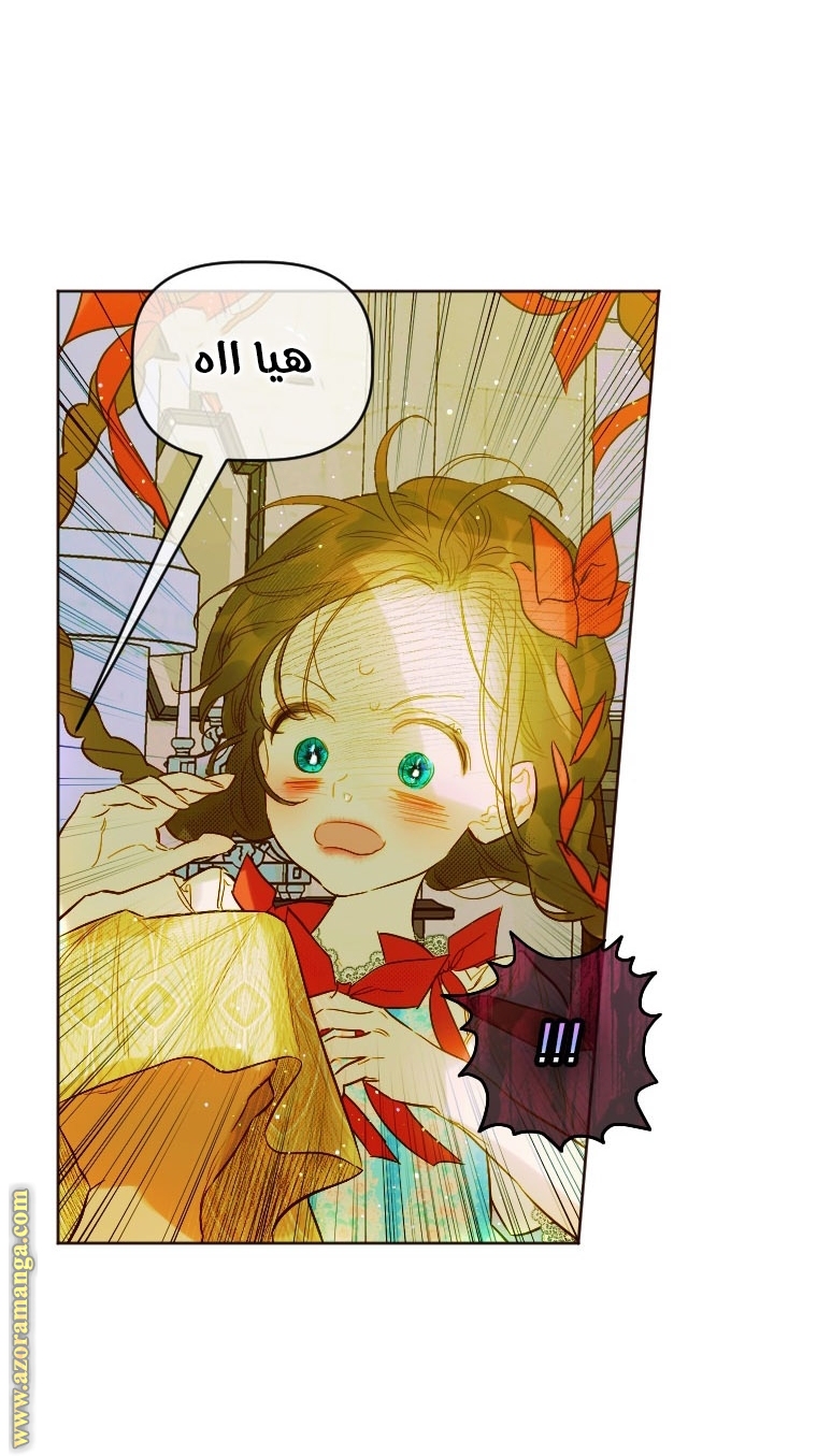 الصفحة 63