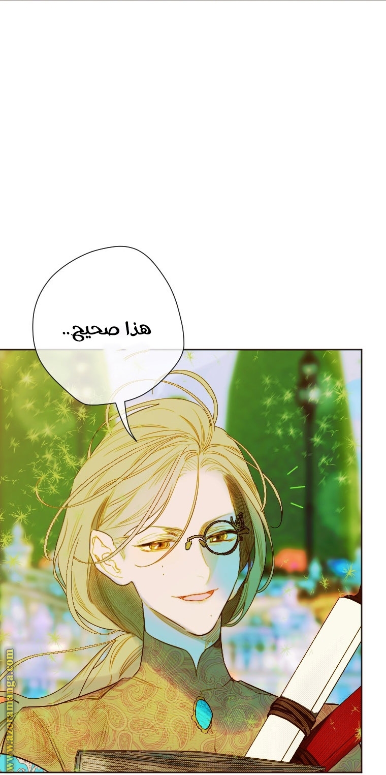 الصفحة 24