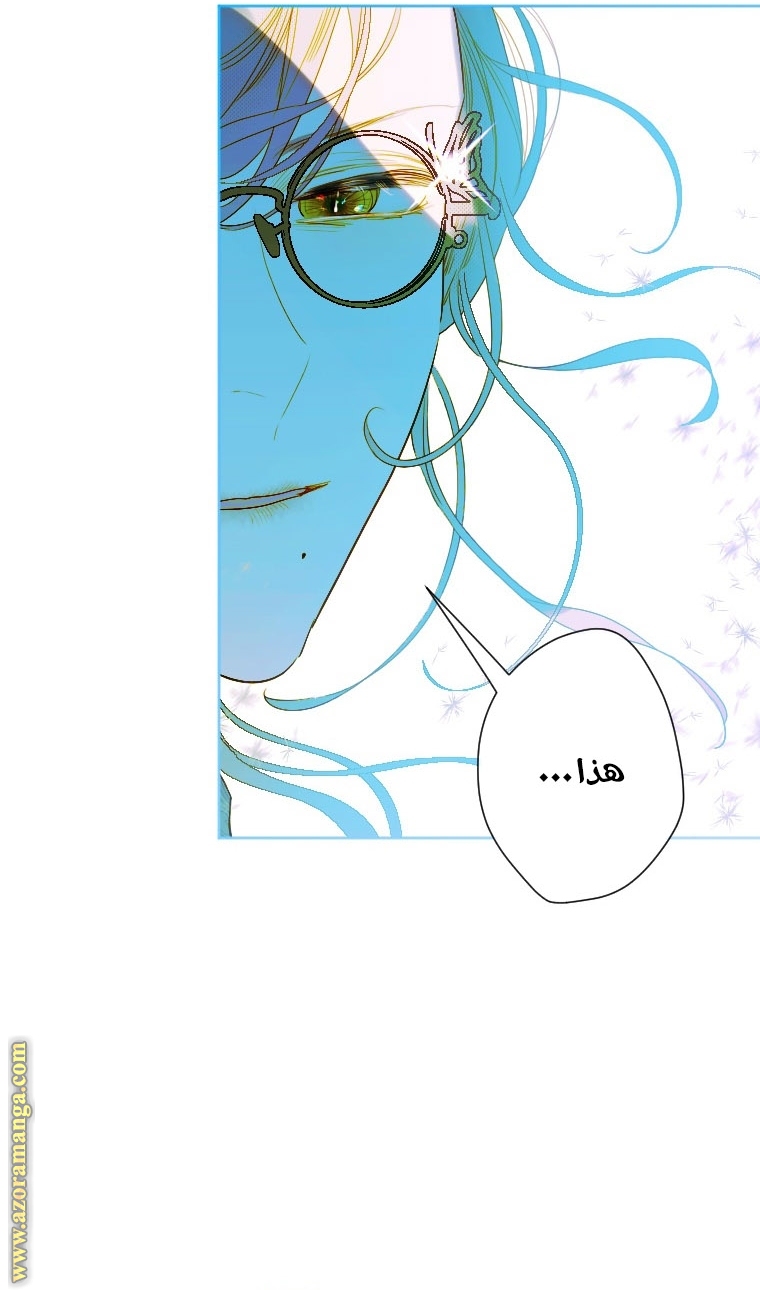 الصفحة 27