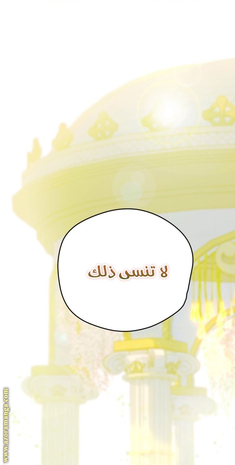 الصفحة 38