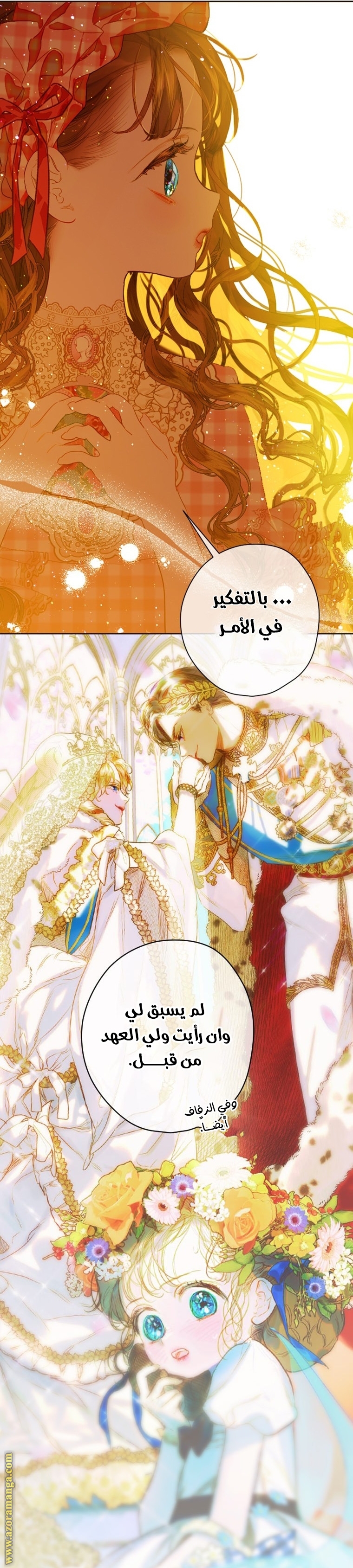الصفحة 22
