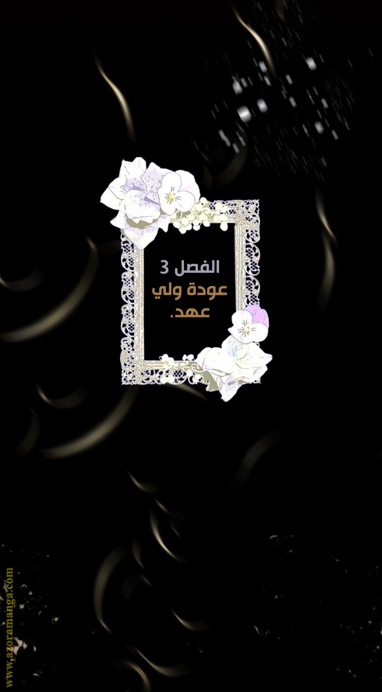 الصفحة 28