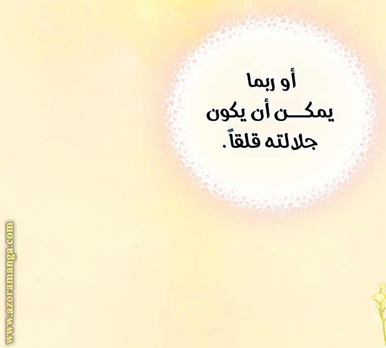 الصفحة 39