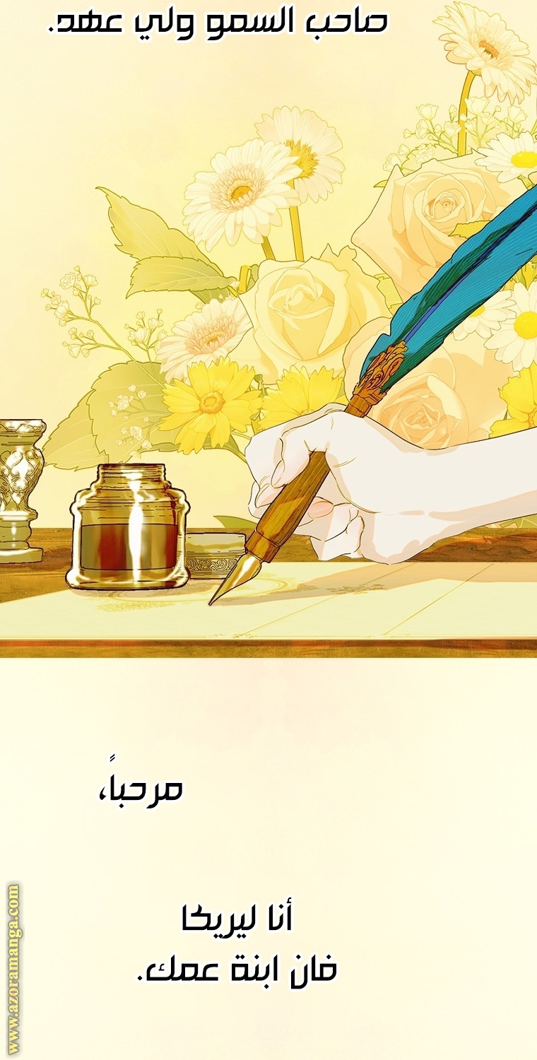 الصفحة 40