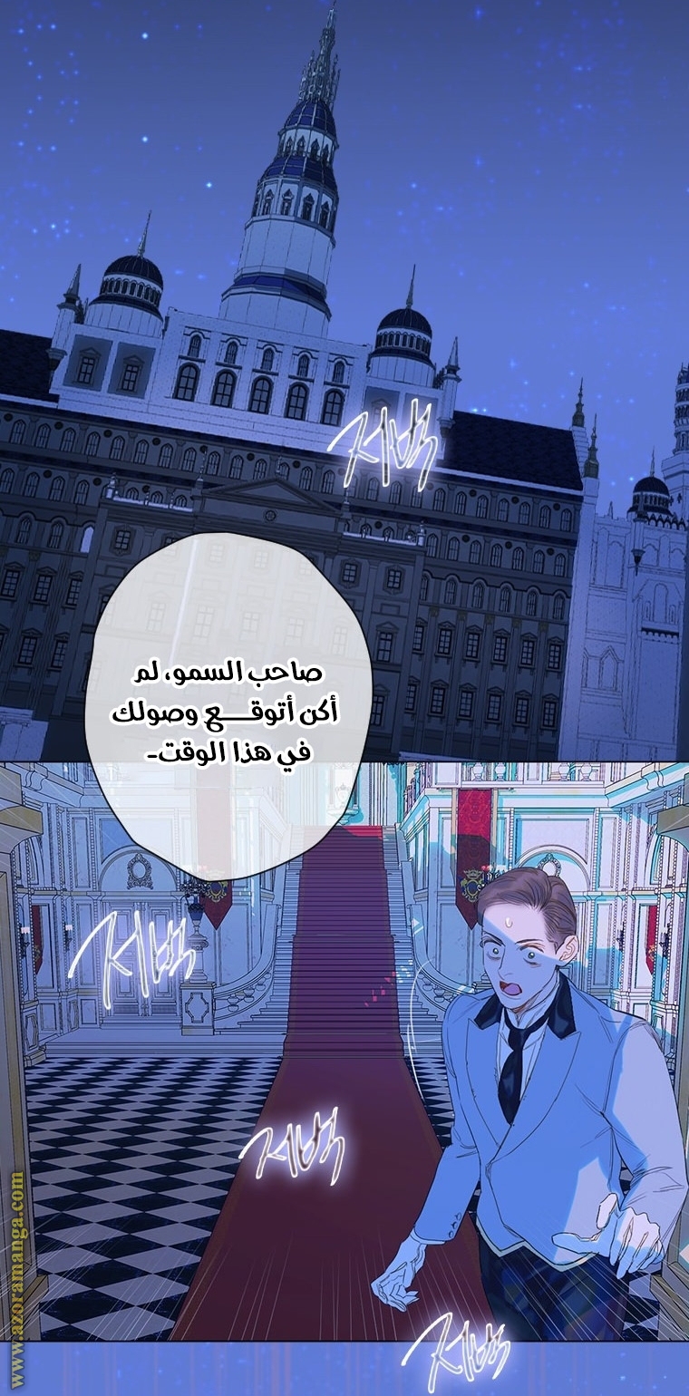 الصفحة 45