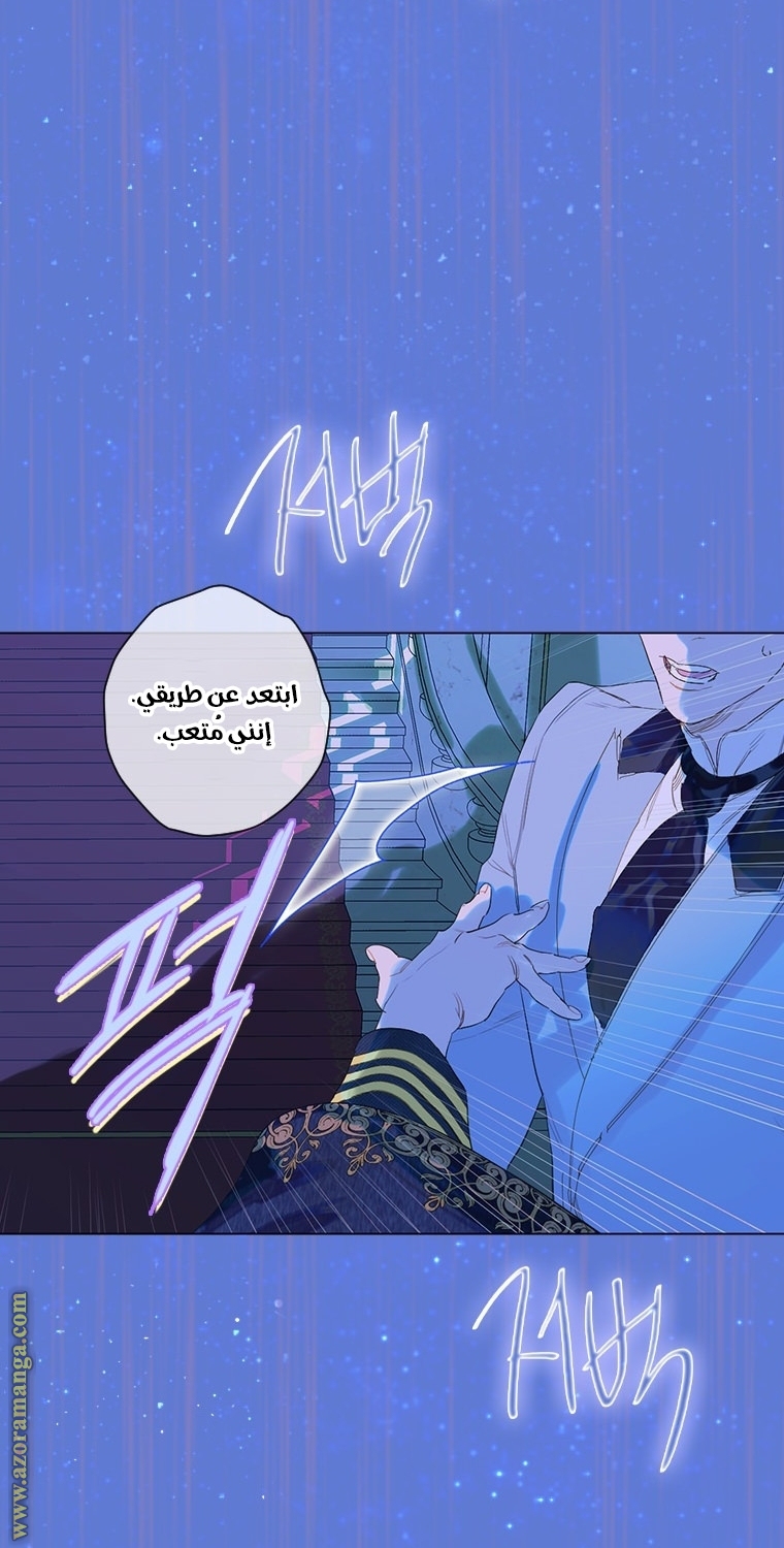 الصفحة 46