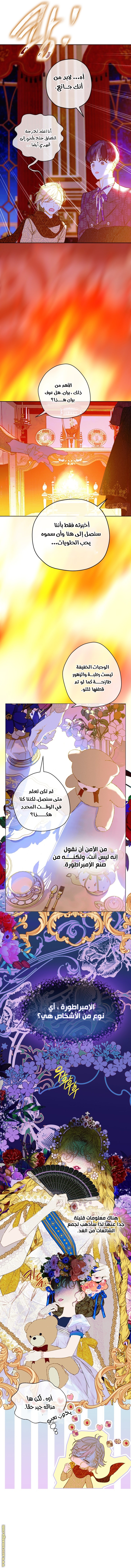 الصفحة 3