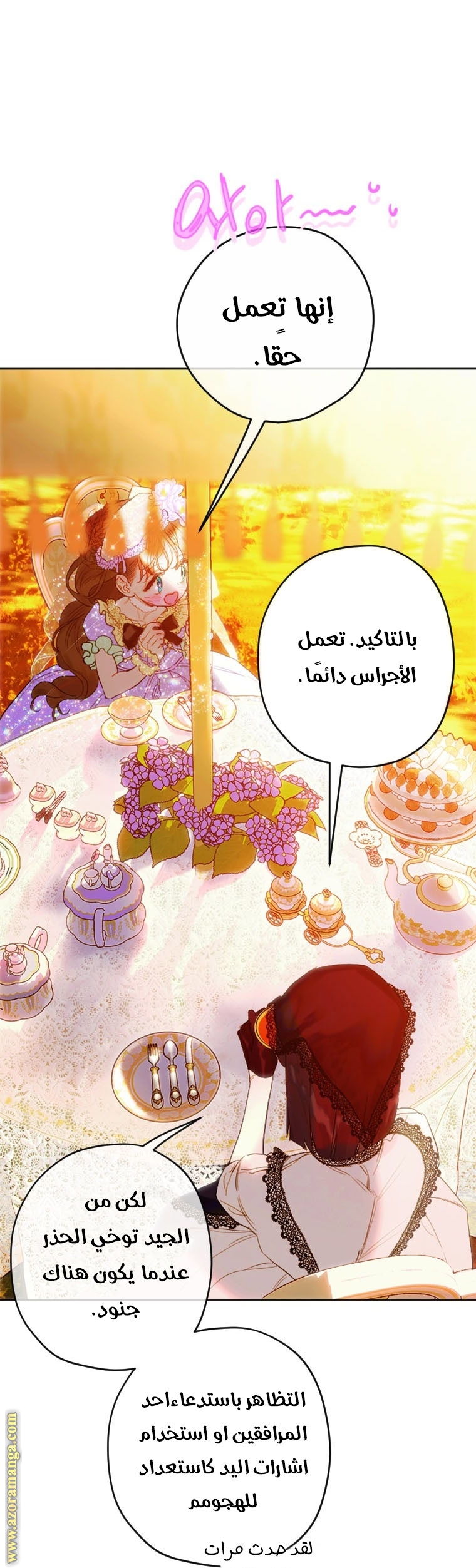 الصفحة 17