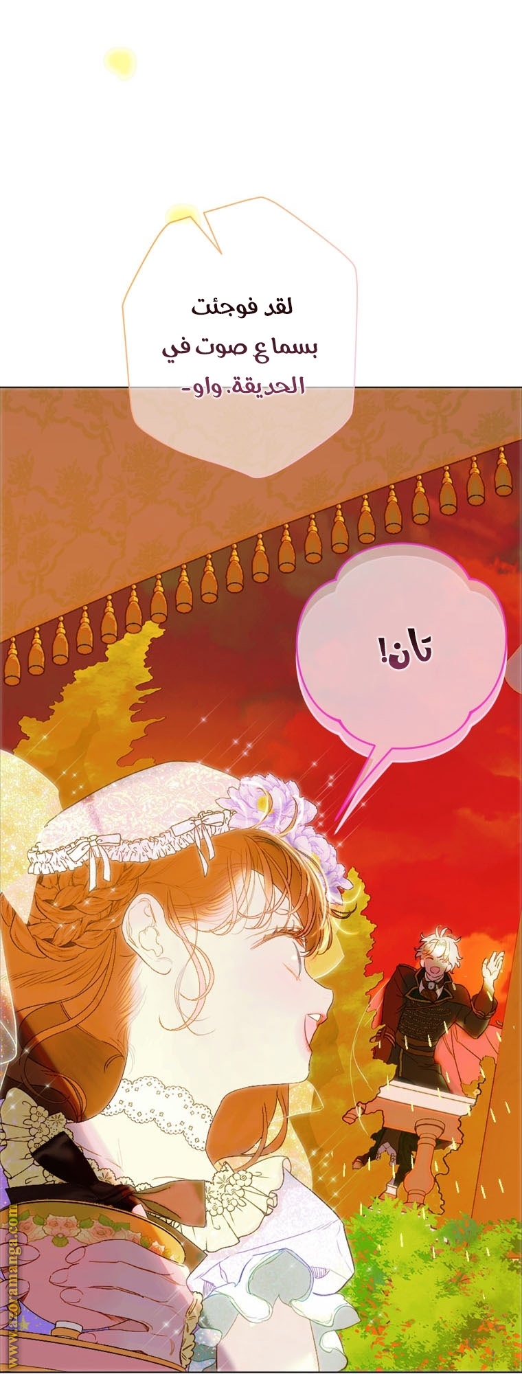 الصفحة 29