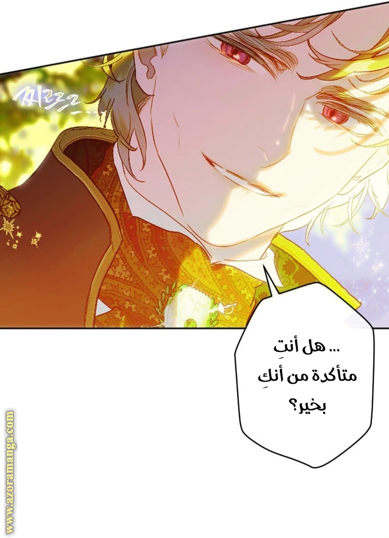 الصفحة 42
