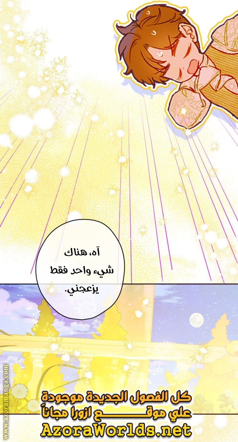 الصفحة 68