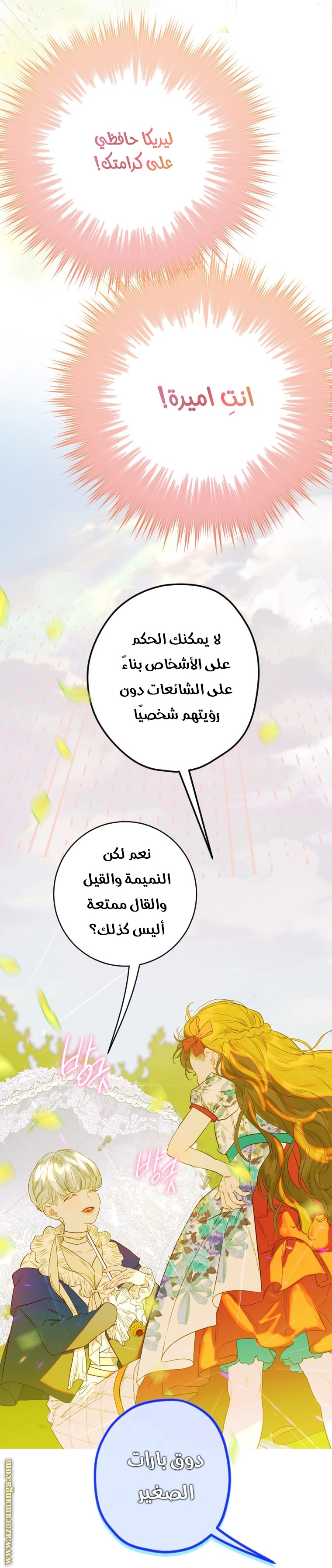 الصفحة 14