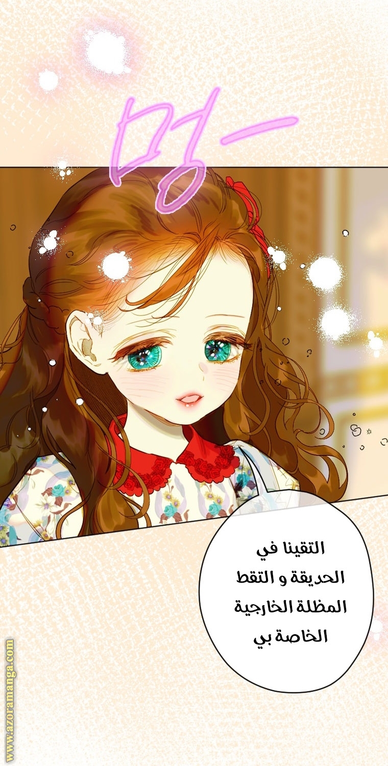 الصفحة 43