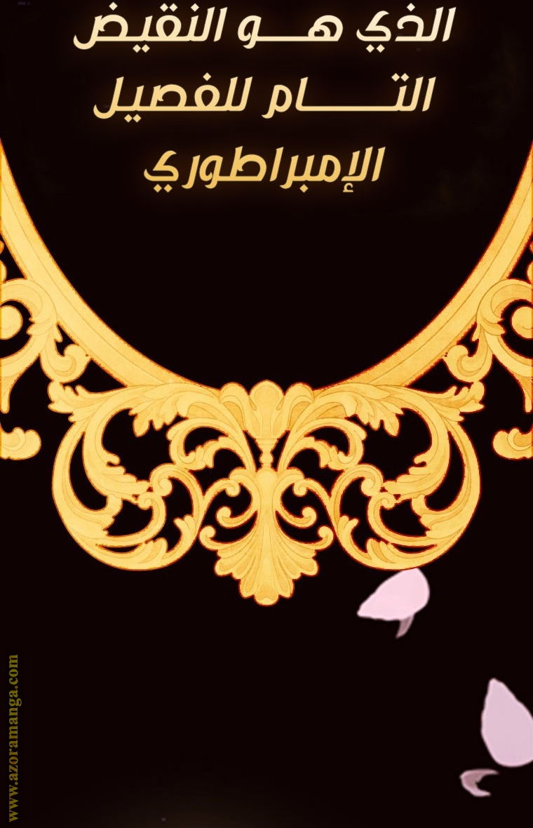 الصفحة 46