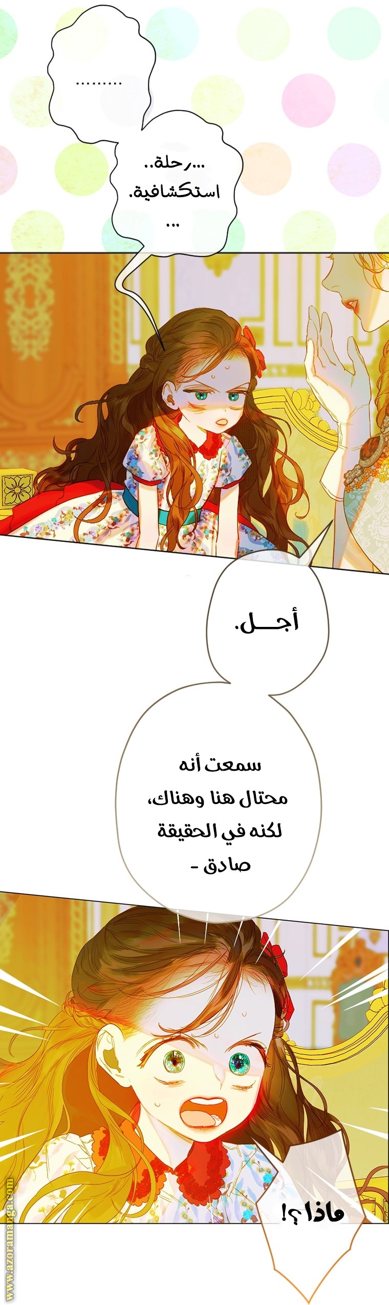 الصفحة 24
