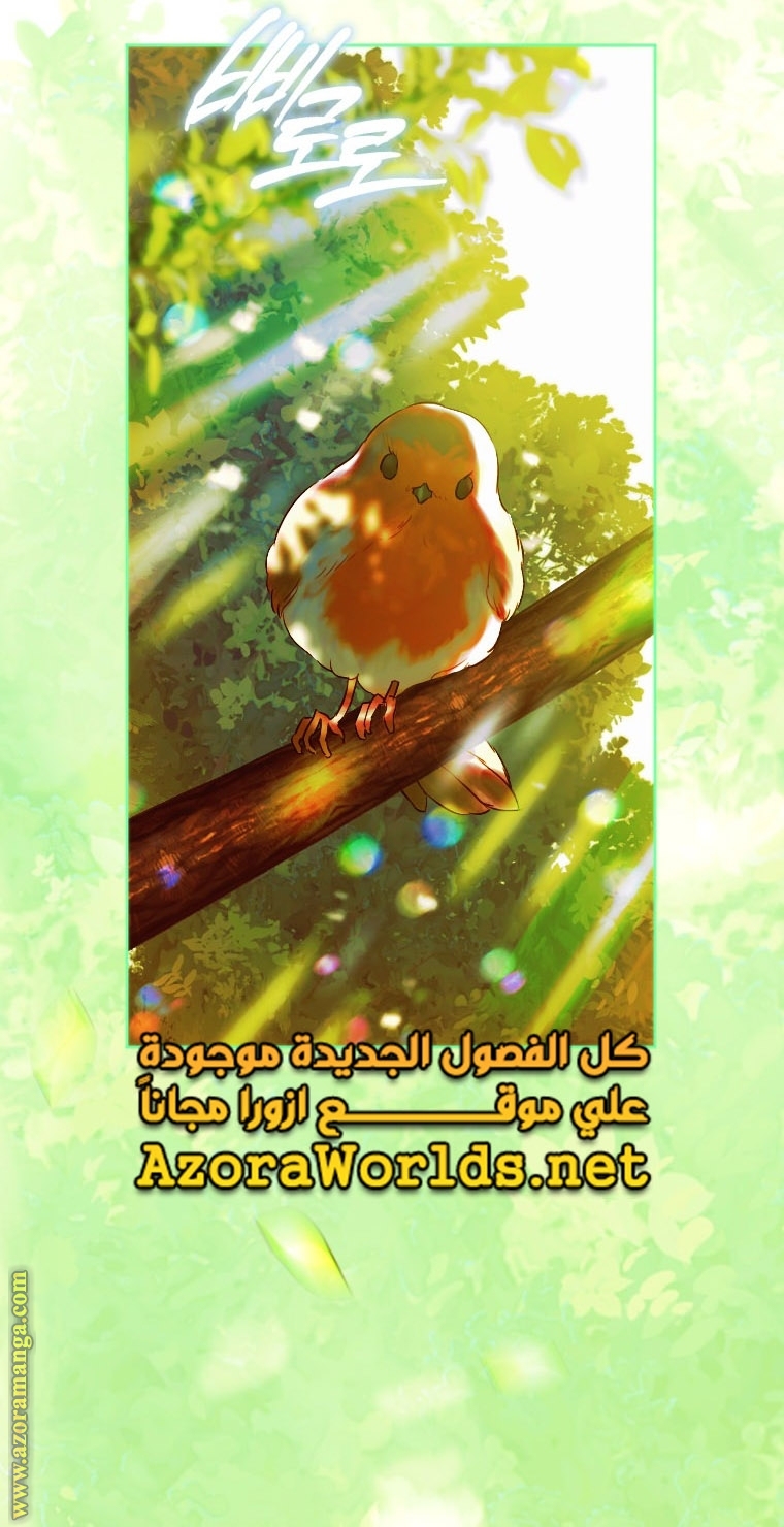 الصفحة 51